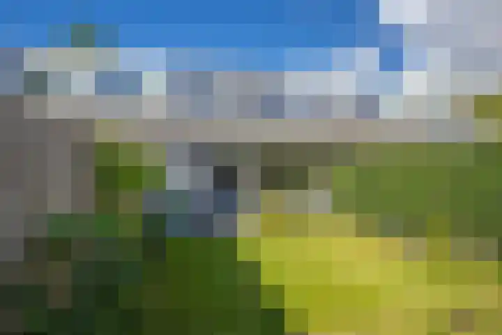 Mosterdhof 114 Westervoort thumbnail 24