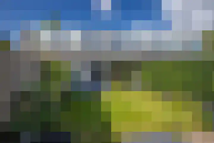 Mosterdhof 114 Westervoort thumbnail 25