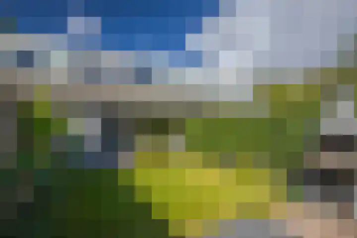 Mosterdhof 114 Westervoort thumbnail 26