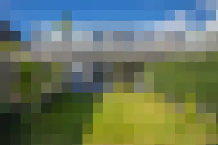 Mosterdhof 114 Westervoort thumbnail 27