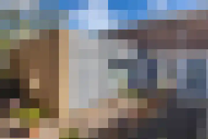 Mosterdhof 114 Westervoort thumbnail 7