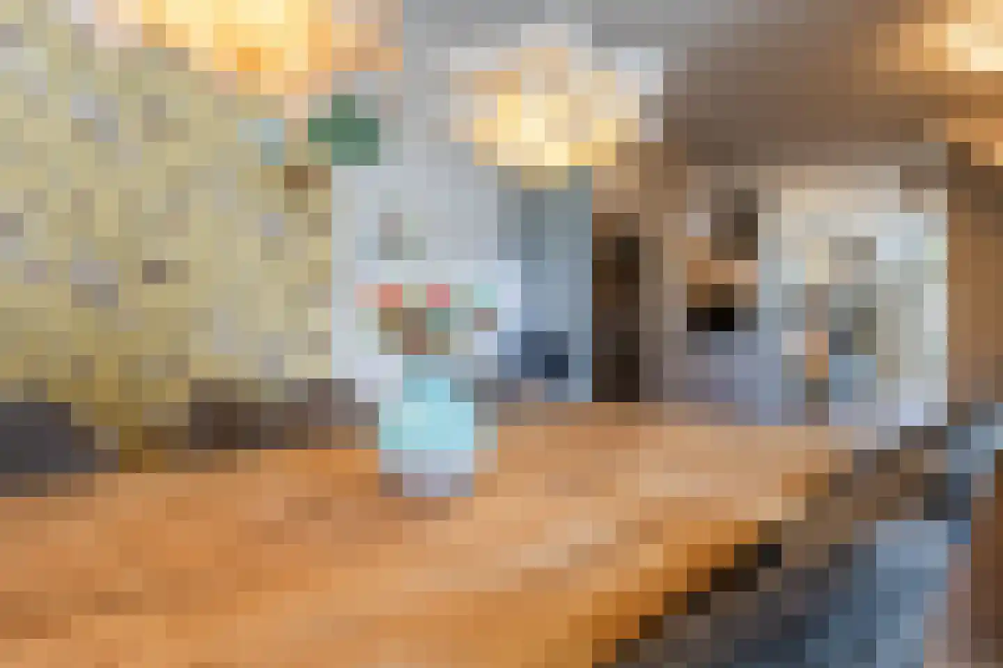 Mosterdhof 145 Westervoort thumbnail 21