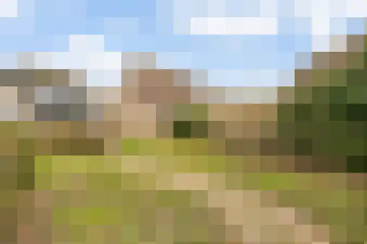 Mosterdhof 220 Westervoort thumbnail 42