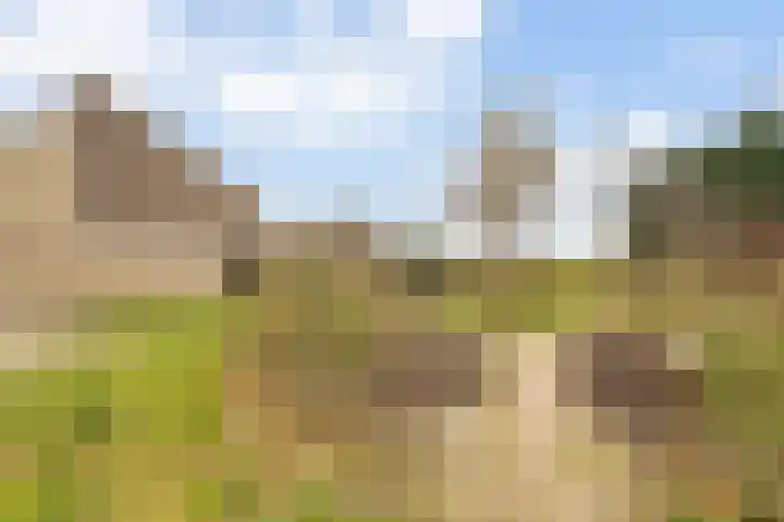 Mosterdhof 220 Westervoort thumbnail 45
