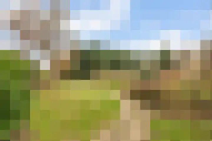 Mosterdhof 220 Westervoort thumbnail 46