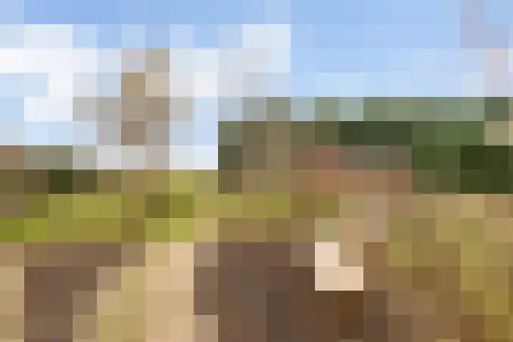 Mosterdhof 220 Westervoort thumbnail 47