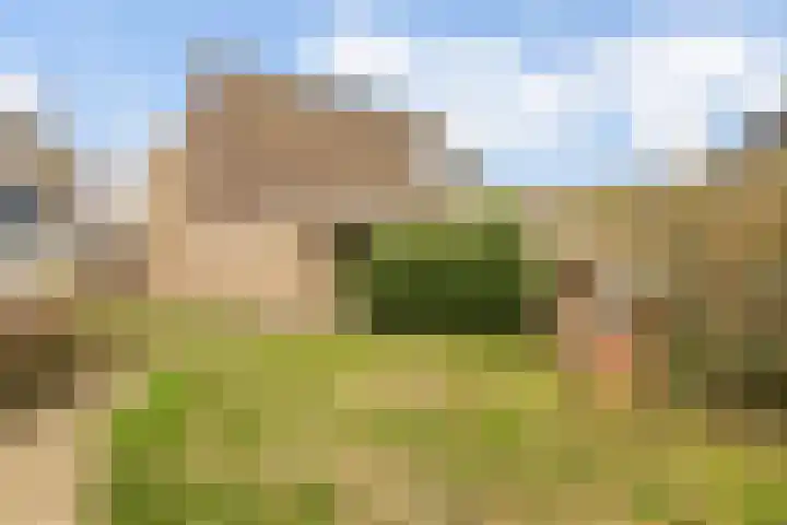 Mosterdhof 220 Westervoort thumbnail 48