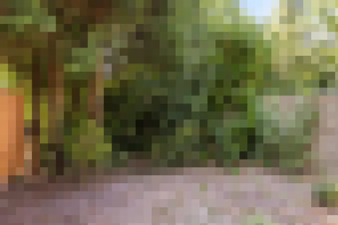Mosterdhof 298 Westervoort thumbnail 18
