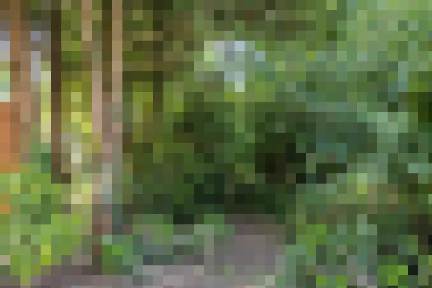Mosterdhof 298 Westervoort thumbnail 19
