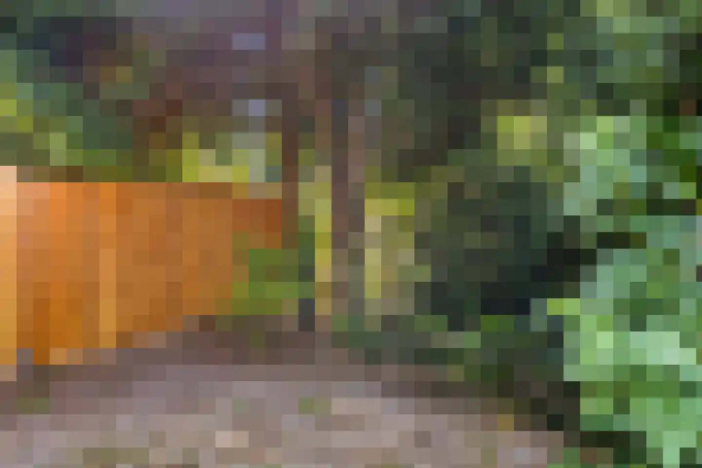 Mosterdhof 298 Westervoort thumbnail 20