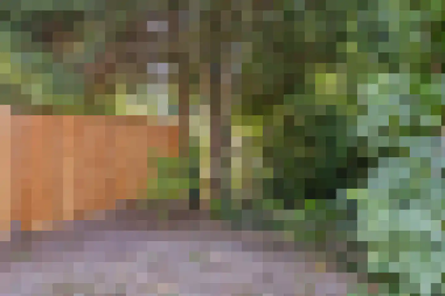 Mosterdhof 298 Westervoort thumbnail 21