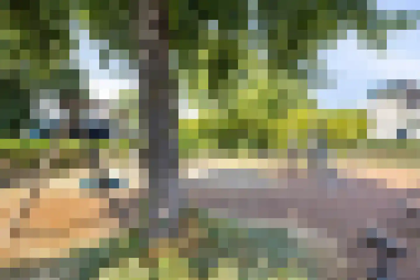 Mosterdhof 298 Westervoort thumbnail 26