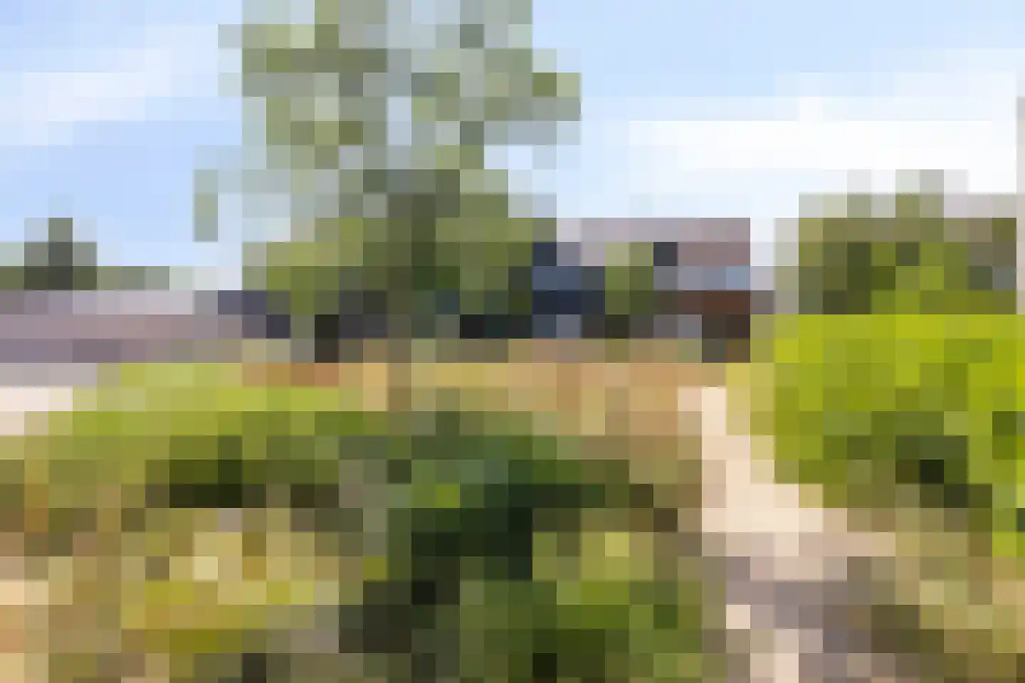 Mosterdhof 298 Westervoort thumbnail 27