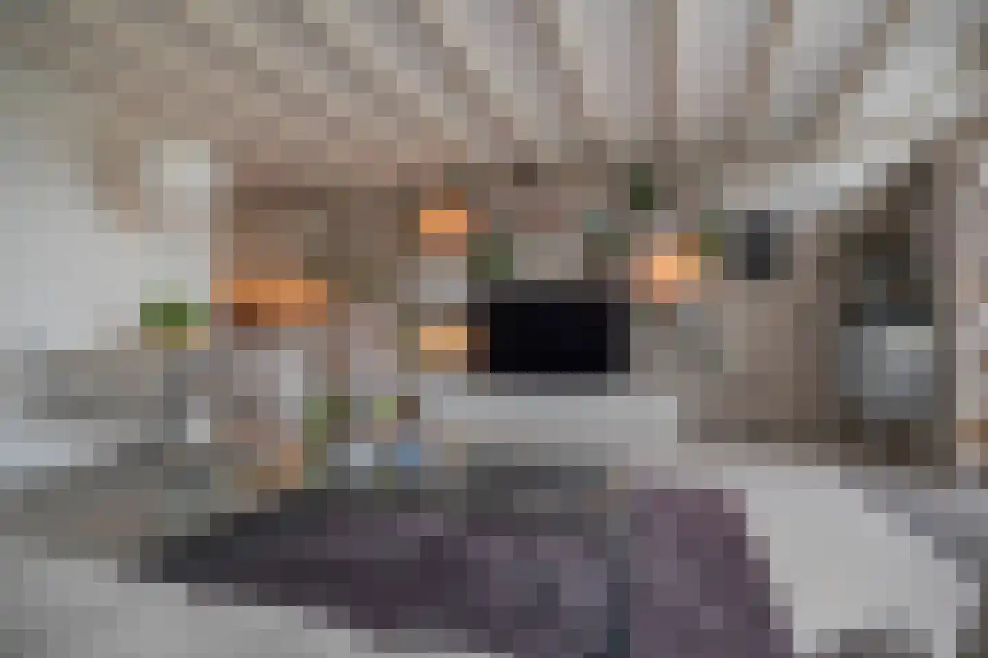 Mosterdhof 43 Westervoort thumbnail 10