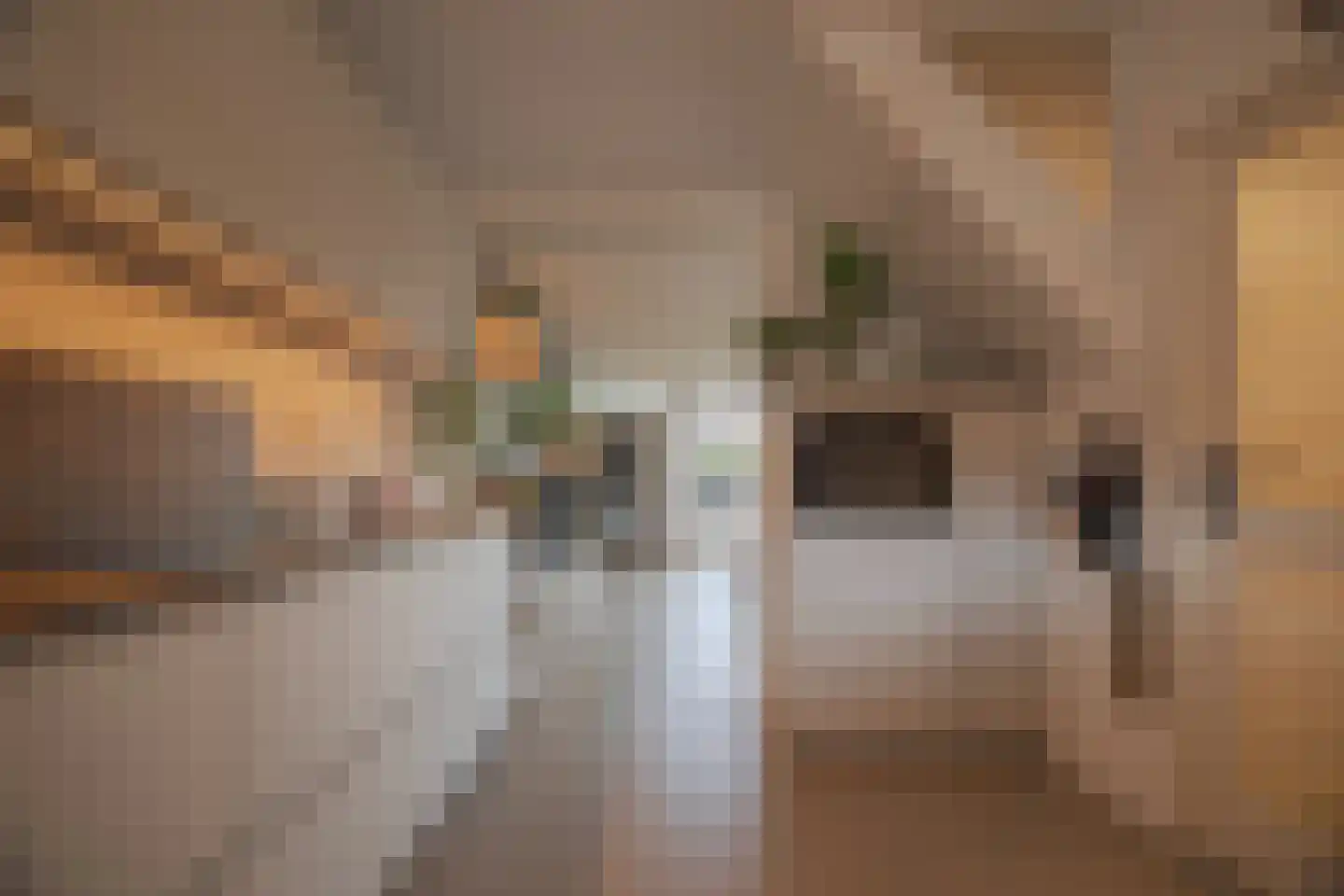 Mosterdhof 43 Westervoort thumbnail 17