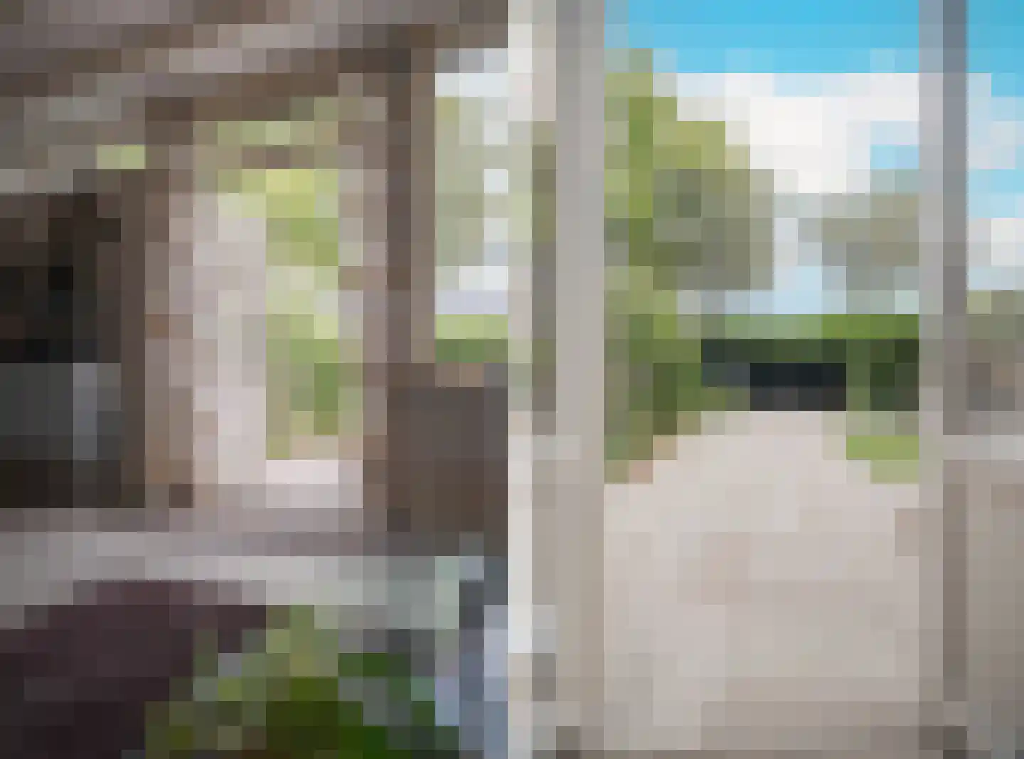 Mosterdhof 43 Westervoort thumbnail 46