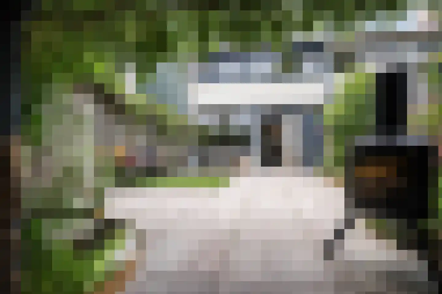 Mosterdhof 43 Westervoort thumbnail 5