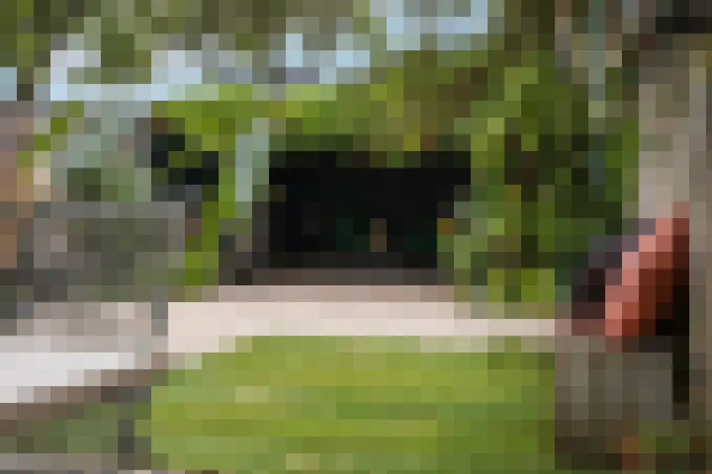 Mosterdhof 43 Westervoort thumbnail 51