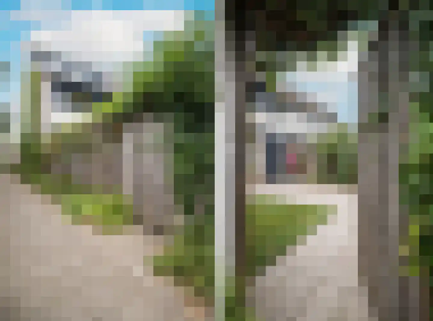 Mosterdhof 43 Westervoort thumbnail 52