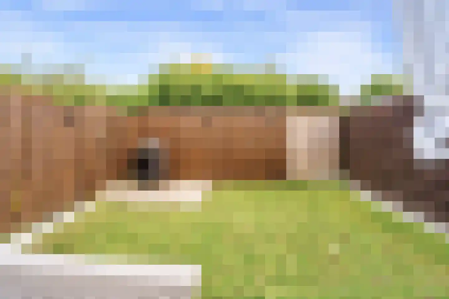 Mosterdhof 72 Westervoort thumbnail 26