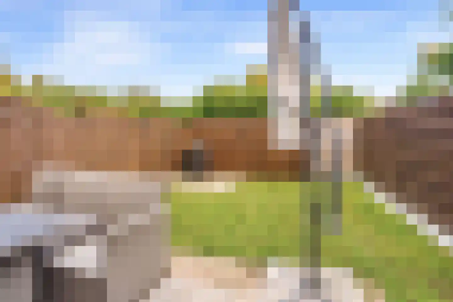 Mosterdhof 72 Westervoort thumbnail 6