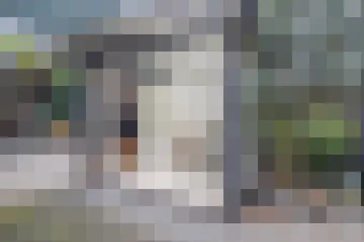 Mosterdhof 83 Westervoort thumbnail 24