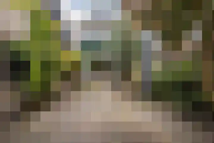 Mosterdhof 83 Westervoort thumbnail 25