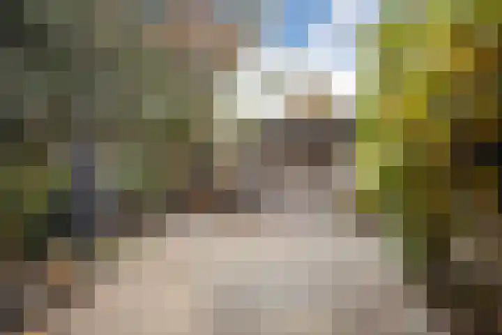 Mosterdhof 83 Westervoort thumbnail 26