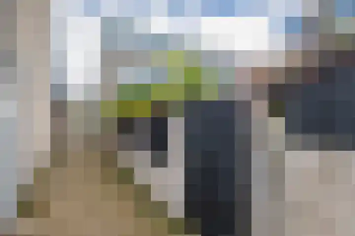 Mosterdhof 83 Westervoort thumbnail 41