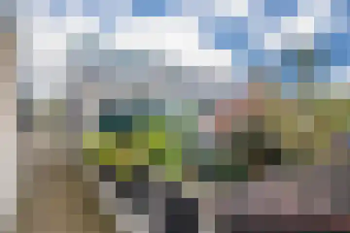 Mosterdhof 83 Westervoort thumbnail 5