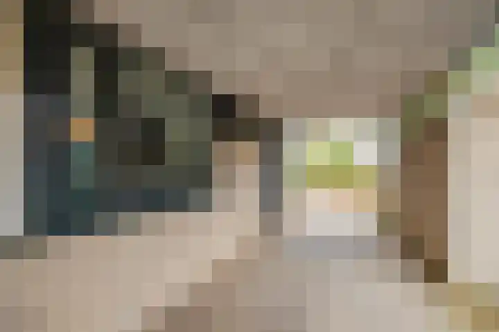 Mosterdhof 83 Westervoort thumbnail 8