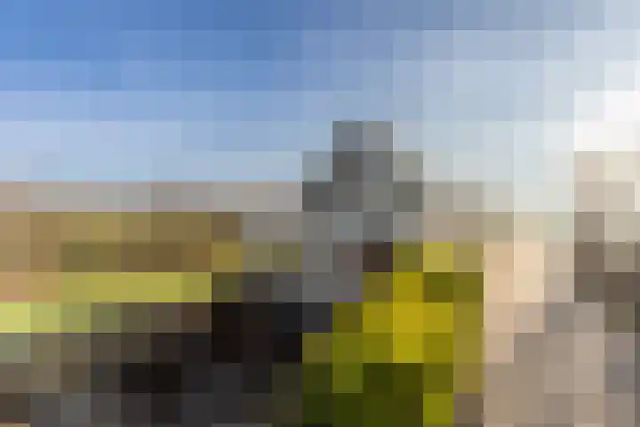 Mosterdijk 3 Vierpolders foto 2