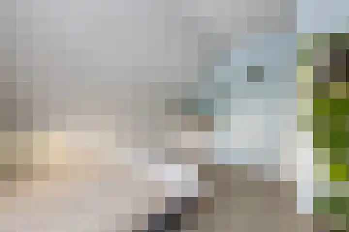 Mosterdijk 3 Vierpolders thumbnail 32