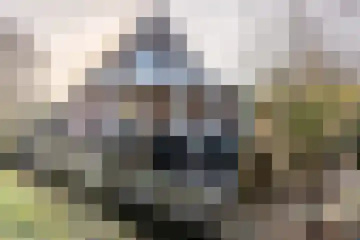 Mosterdijk 3 Vierpolders thumbnail 41
