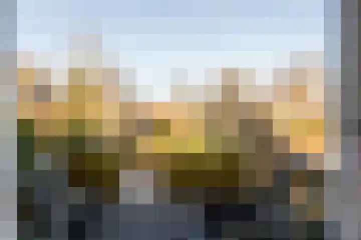 Mosterdijk 3 Vierpolders thumbnail 49