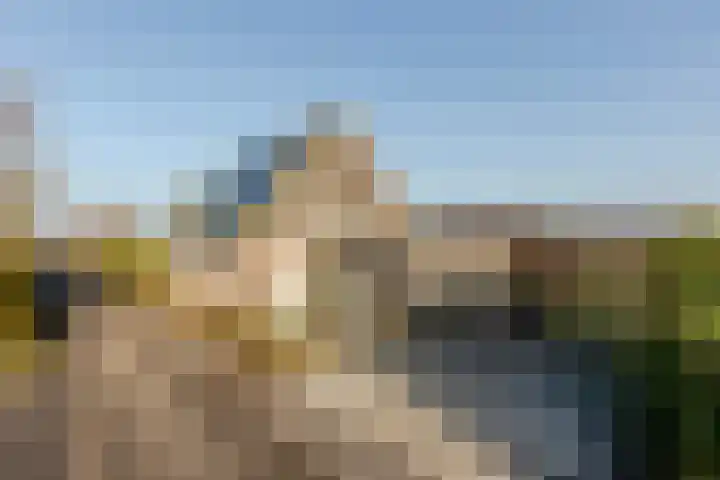 Mosterdijk 3 Vierpolders thumbnail 5
