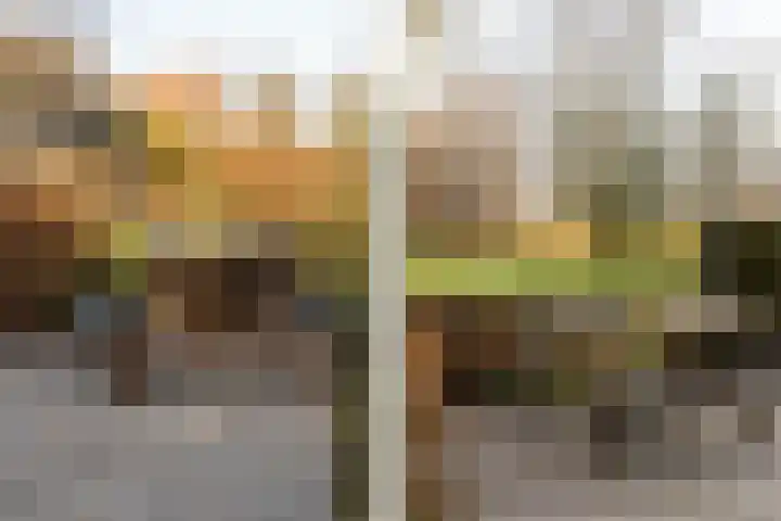 Mosterdijk 3 Vierpolders thumbnail 51