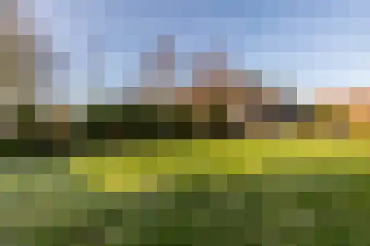Mosterdijk 3 Vierpolders thumbnail 53