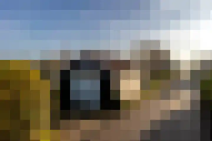 Mosterdijk 3 Vierpolders thumbnail 59