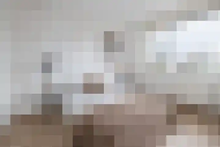 Mosterdlaan 22 Barneveld thumbnail 19