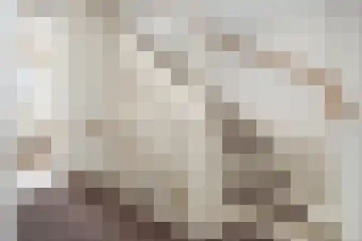 Mosterdlaan 22 Barneveld thumbnail 26