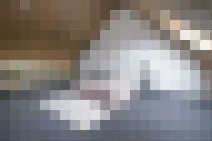 Mosterdlaan 22 Barneveld thumbnail 27
