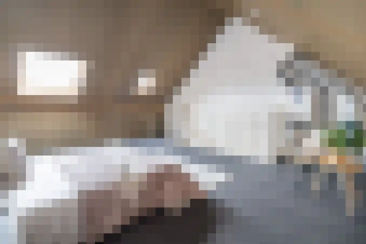Mosterdlaan 22 Barneveld thumbnail 28