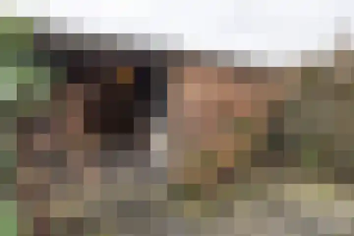 Mosterdlaan 22 Barneveld thumbnail 31