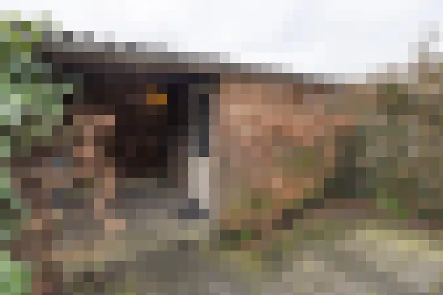 Mosterdlaan 22 Barneveld thumbnail 31