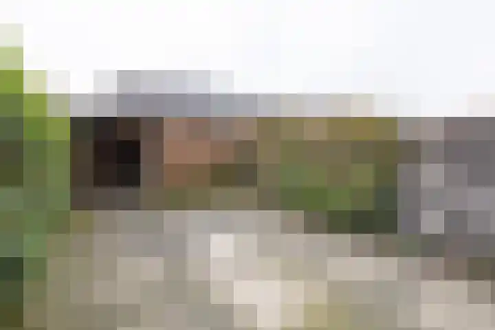Mosterdlaan 22 Barneveld thumbnail 33