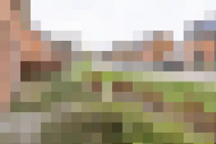 Mosterdlaan 22 Barneveld thumbnail 36