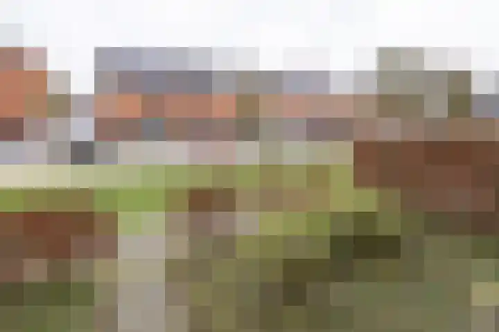 Mosterdlaan 22 Barneveld thumbnail 37