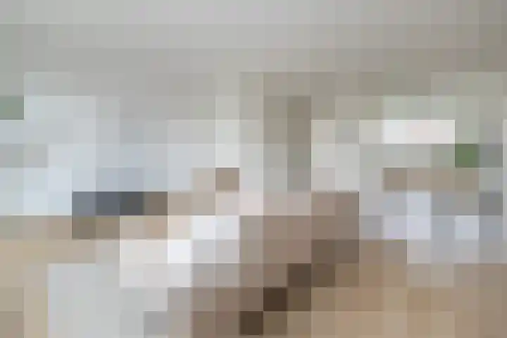 Mosterdlaan 22 Barneveld thumbnail 6