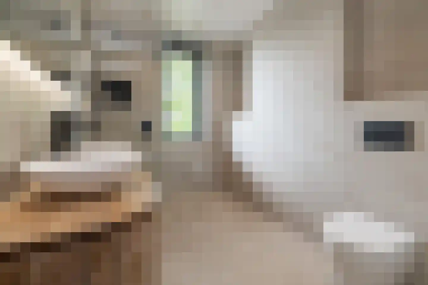 Mosterdlaan 27 Barneveld thumbnail 24